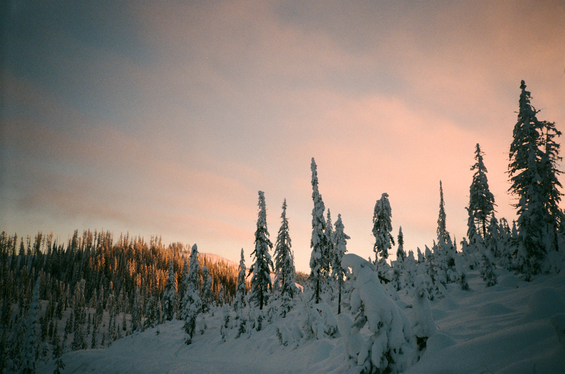 EJSUllivanWebHome-00014